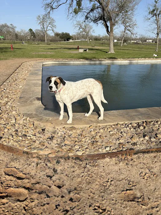 Animal Friends of Washington County veterinary clinic AND dog park Picture 4