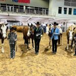 Republic of Texas Equine Medical Center