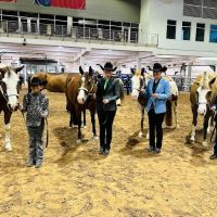 Republic of Texas Equine Medical Center ico