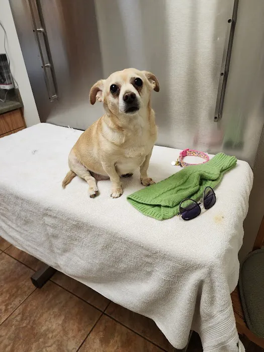 Sweetwater Veterinary Clinic Picture 2