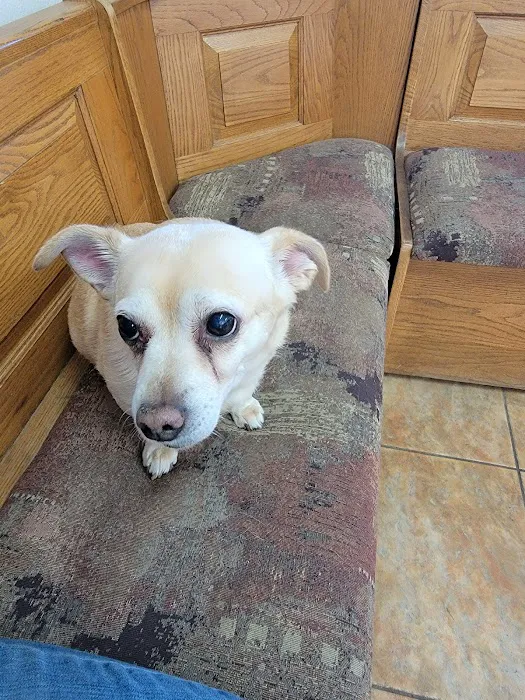 Sweetwater Veterinary Clinic Picture 6