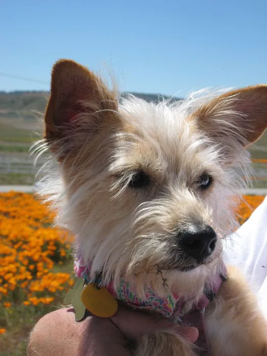 Sweetwater Veterinary Clinic Picture 4