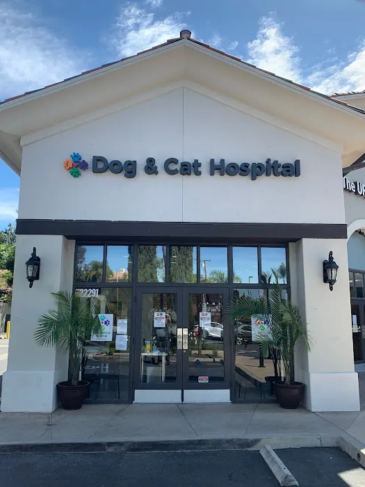 Dog and Cat Hospital Calabasas Picture 9
