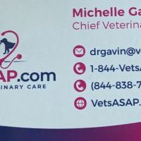 VetsASAP Mobile Veterinary Care ico