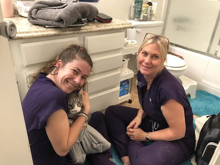VetsASAP Mobile Veterinary Care Picture 5