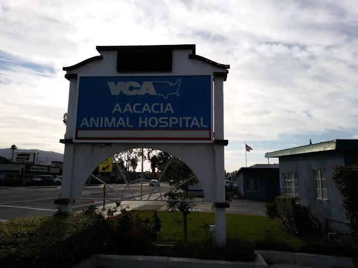 VCA Aacacia Animal Hospital Picture 3