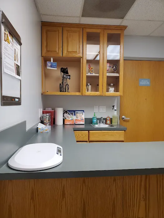 VCA Aacacia Animal Hospital Picture 7