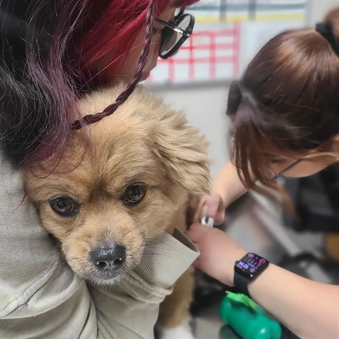 AAA Animal Hospital Picture 8