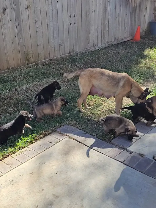 Corona Community Veterinary Hospital Picture 7