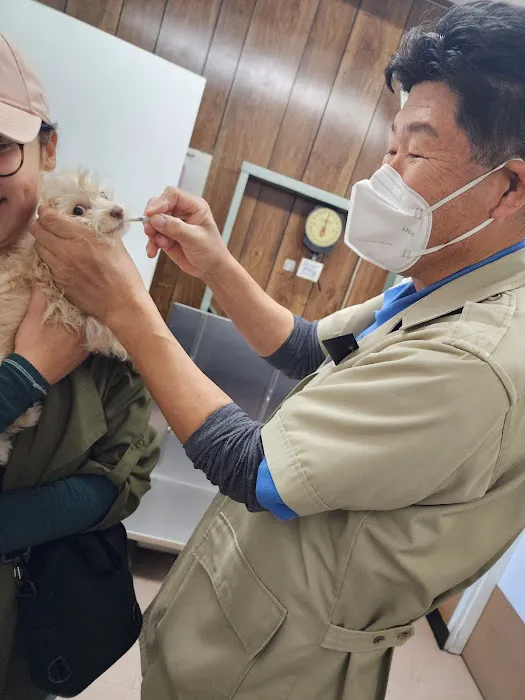 Circle City Animal Hospital Picture 2