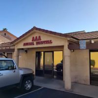AAA Plaza ico