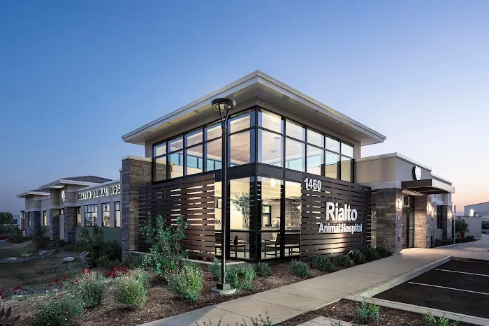 Rialto Animal Hospital Picture 5