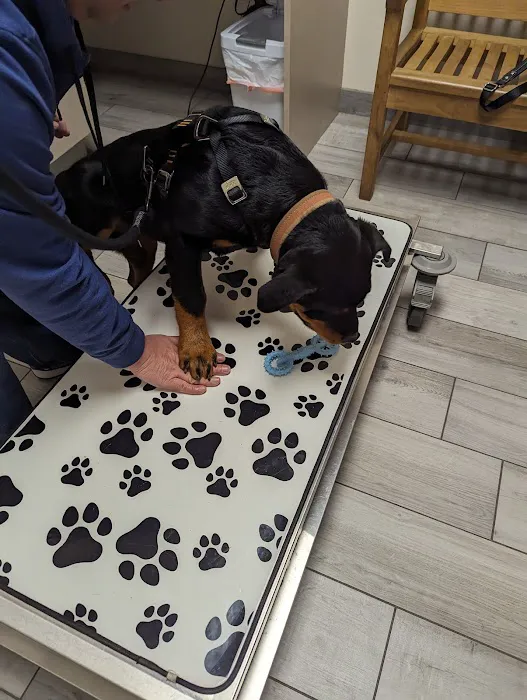 Rialto Animal Hospital: Juarez Shannon DVM Picture 3