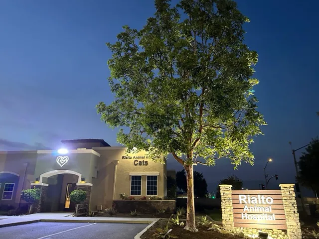 Rialto Cat Hospital Picture 2