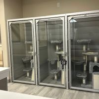 Rialto Cat Hospital ico