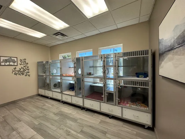 Rialto Cat Hospital Picture 8