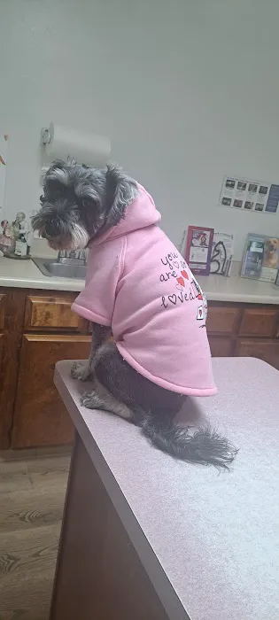Community Animal Hospital: Ahi K S DVM Picture 2