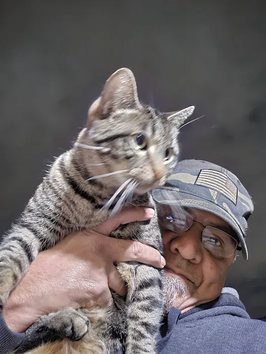 Community Animal Hospital Picture 4