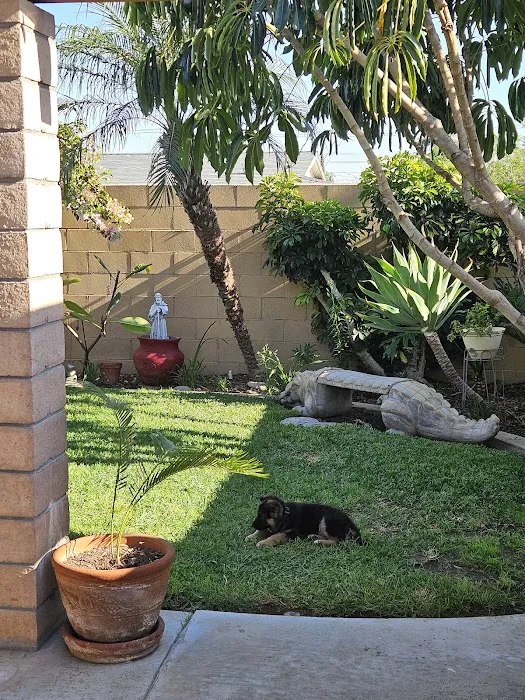 Community Animal Hospital Picture 7