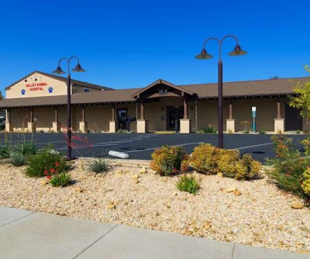 Valley Animal Hospital
