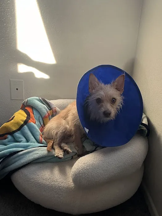 Valley Animal Hospital Picture 4