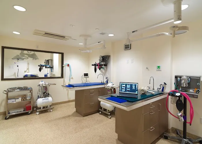Valley Animal Hospital Picture 5