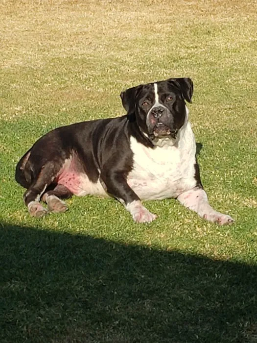 Valley Animal Hospital Picture 3