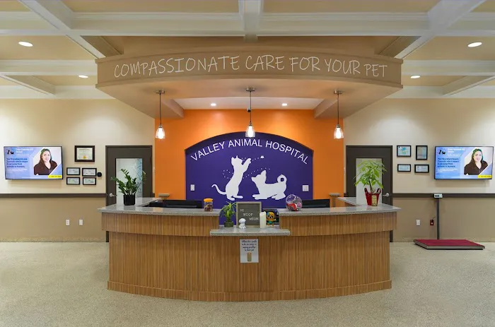 Valley Animal Hospital Picture 8