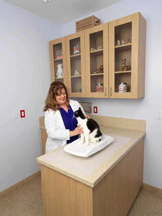 Valley Animal Hospital Picture 7