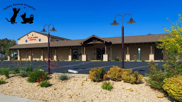 Valley Animal Hospital Picture 10