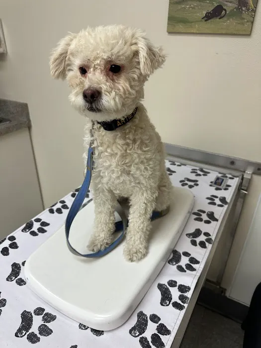 Lincoln Plaza Veterinary Clinic Picture 8