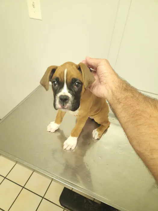 Riverside Animal Hospital Picture 4