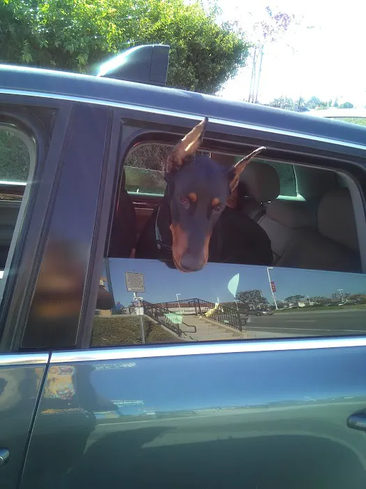 Riverside Animal Hospital Picture 8