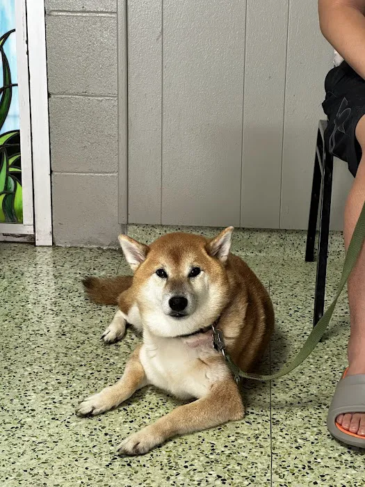 Town & Country Veterinary Clinic Picture 7