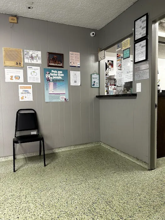 Town & Country Veterinary Clinic Picture 6