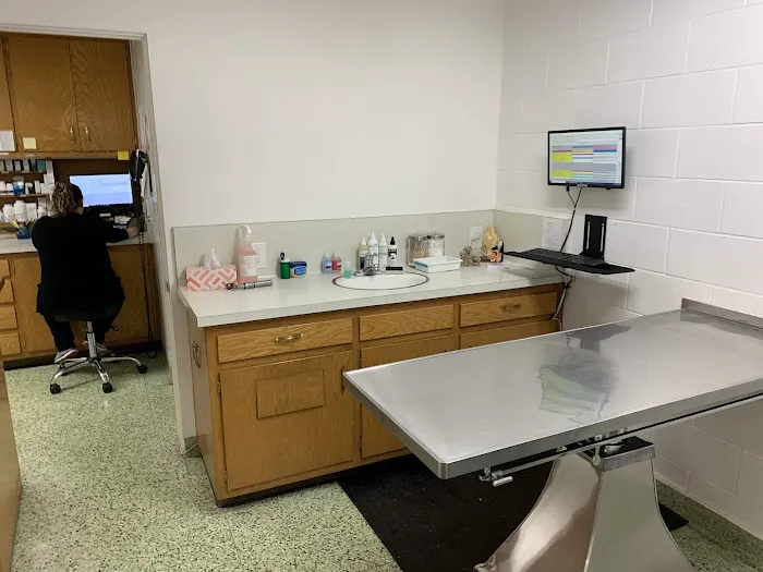 Town & Country Veterinary Clinic Picture 10