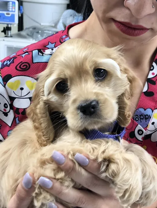 The Pets Place Animal Hospital Picture 6