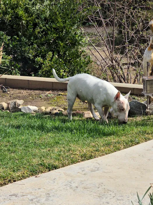 Canyon Crest Animal Hospital Picture 4