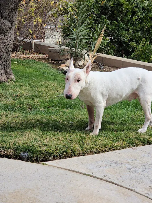 Canyon Crest Animal Hospital Picture 9
