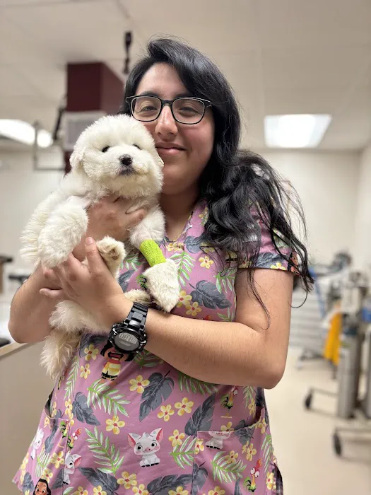 Belton Small Animal Clinic Picture 1