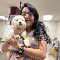 Belton Small Animal Clinic ico