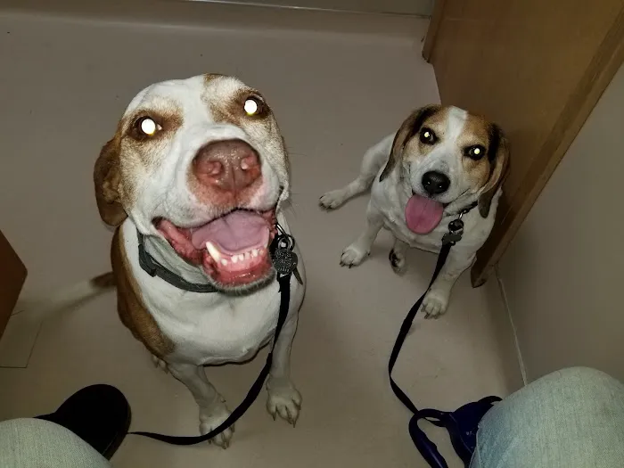 Belton Small Animal Clinic Picture 7
