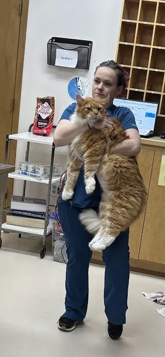 Belton Small Animal Clinic Picture 9