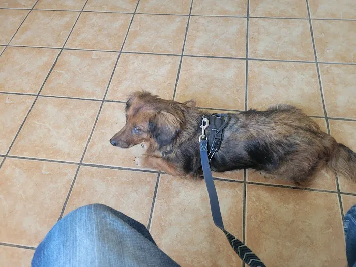 Belton Veterinary Clinic Picture 1