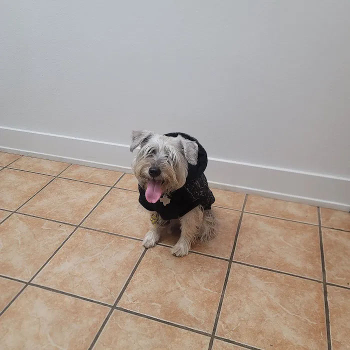 Belton Veterinary Clinic Picture 7
