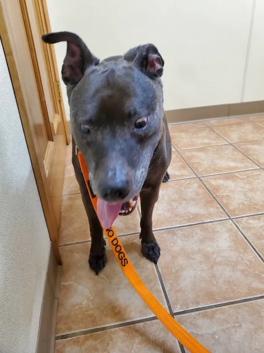 Belton Veterinary Clinic Picture 9