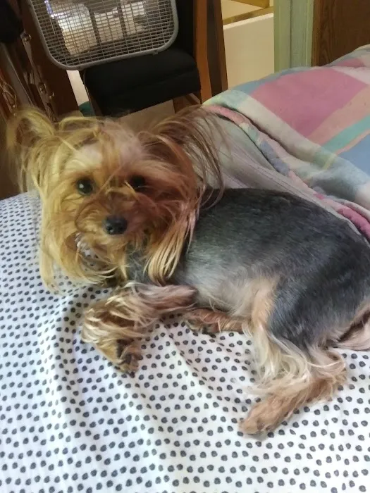 Brown County Animal Clinic: Speck A L DVM Picture 4