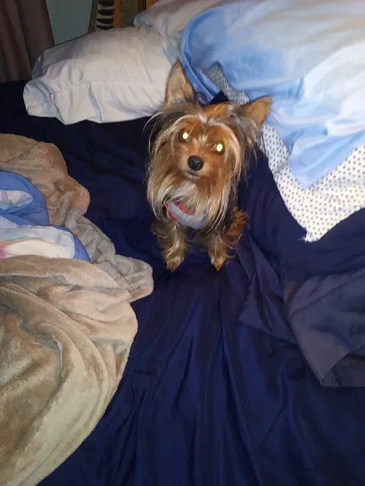 Brown County Animal Clinic: Speck A L DVM Picture 2