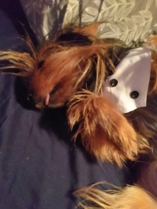 Brown County Animal Clinic: Speck A L DVM Picture 3