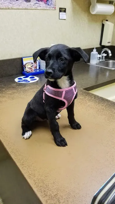 Brown County Animal Clinic Picture 2